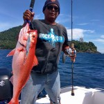 Galery Jonita 12