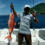 Galery Jonita 9